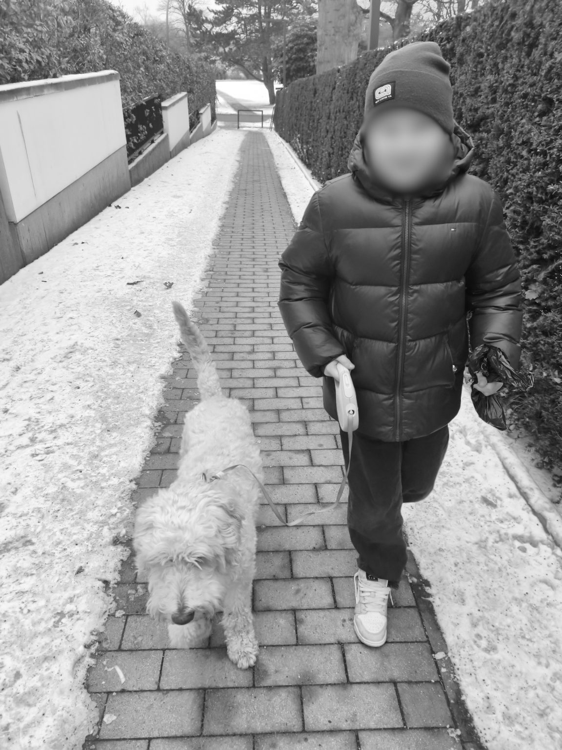 Ein Junge geht im Winter mit dem Hund Ludwig spazieren, ein Beispiel für Mikro-Abenteuer und Resilienz im Alltag.