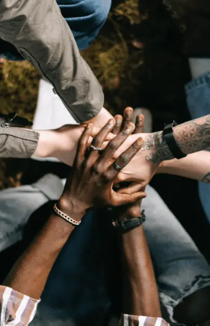 Die 7 Wurzeln der Resilienz: Krisenkompetenz aus der B2B Praxis Netzwerk Resilienz
